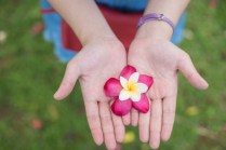 autumn-flower-girl-hands_39704-1594
